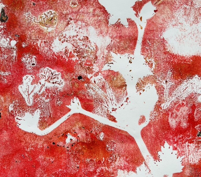 Malva rood